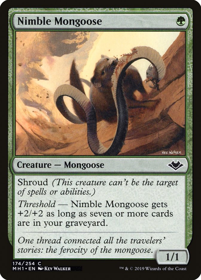 Nimble Mongoose [Modern Horizons] | Empire Gaming NC