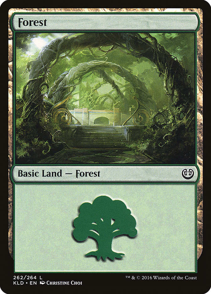 Forest (262) [Kaladesh] | Empire Gaming NC