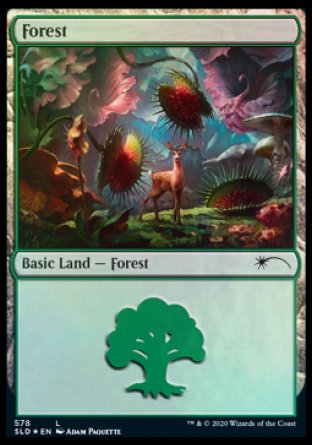 Forest (Predatory) (578) [Secret Lair Drop Promos] | Empire Gaming NC