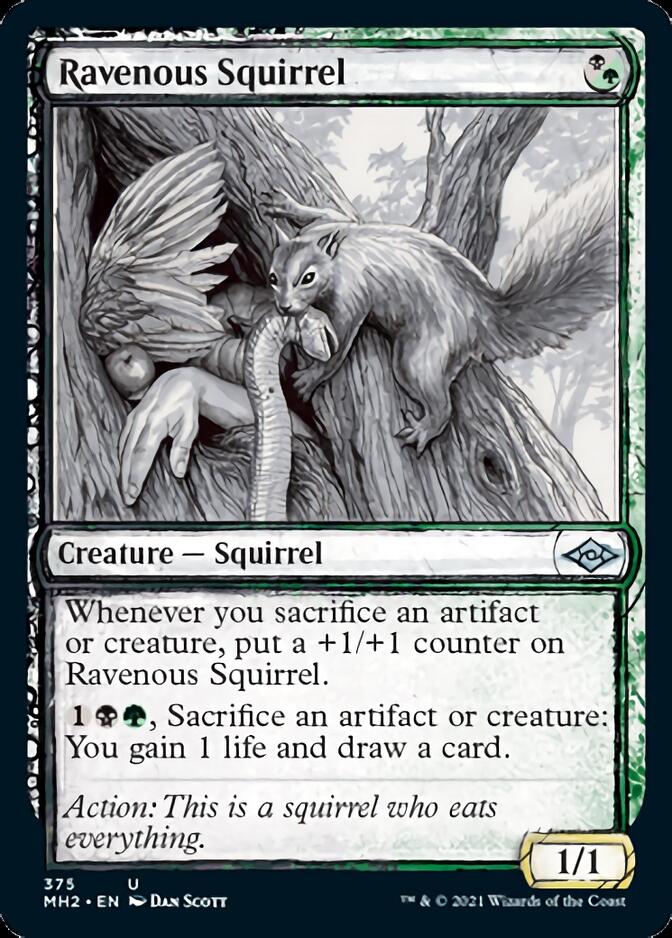 Ravenous Squirrel (Sketch) [Modern Horizons 2] | Empire Gaming NC