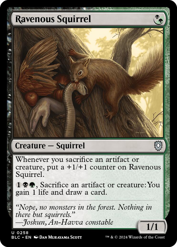 Ravenous Squirrel [Bloomburrow Commander] | Empire Gaming NC