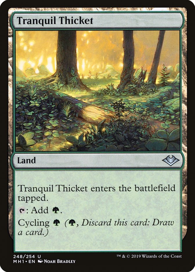 Tranquil Thicket [Modern Horizons] | Empire Gaming NC