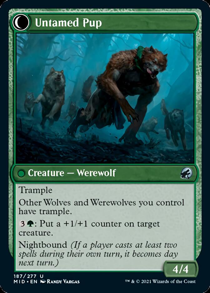 Hound Tamer // Untamed Pup [Innistrad: Midnight Hunt] | Empire Gaming NC