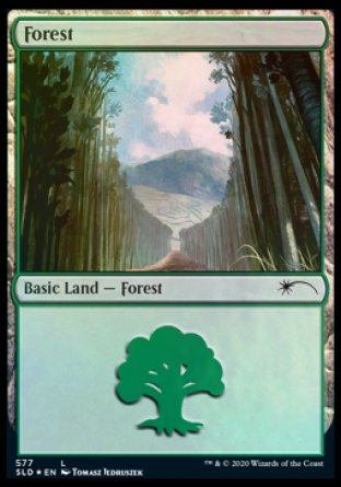 Forest (Walls) (577) [Secret Lair Drop Promos] | Empire Gaming NC