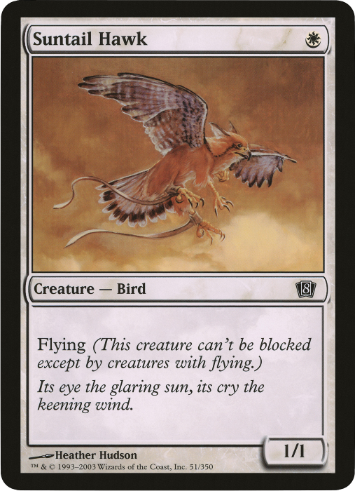 Suntail Hawk (Oversized) [Eighth Edition Box Topper] | Empire Gaming NC