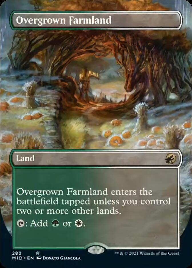 Overgrown Farmland (Borderless Alternate Art) [Innistrad: Midnight Hunt] | Empire Gaming NC