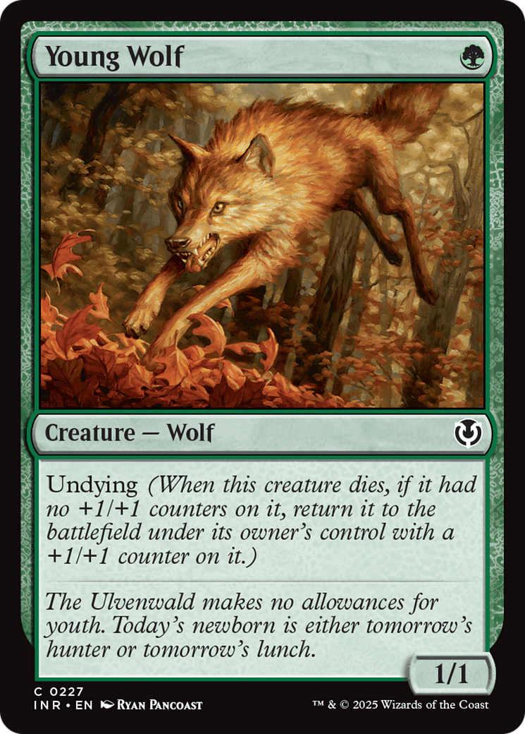 Young Wolf [Innistrad Remastered] | Empire Gaming NC