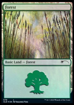 Forest (Elves) (579) [Secret Lair Drop Promos] | Empire Gaming NC