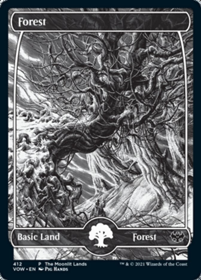 Forest (The Moonlit Lands) (Foil Etched) [Innistrad: Crimson Vow Promos] | Empire Gaming NC