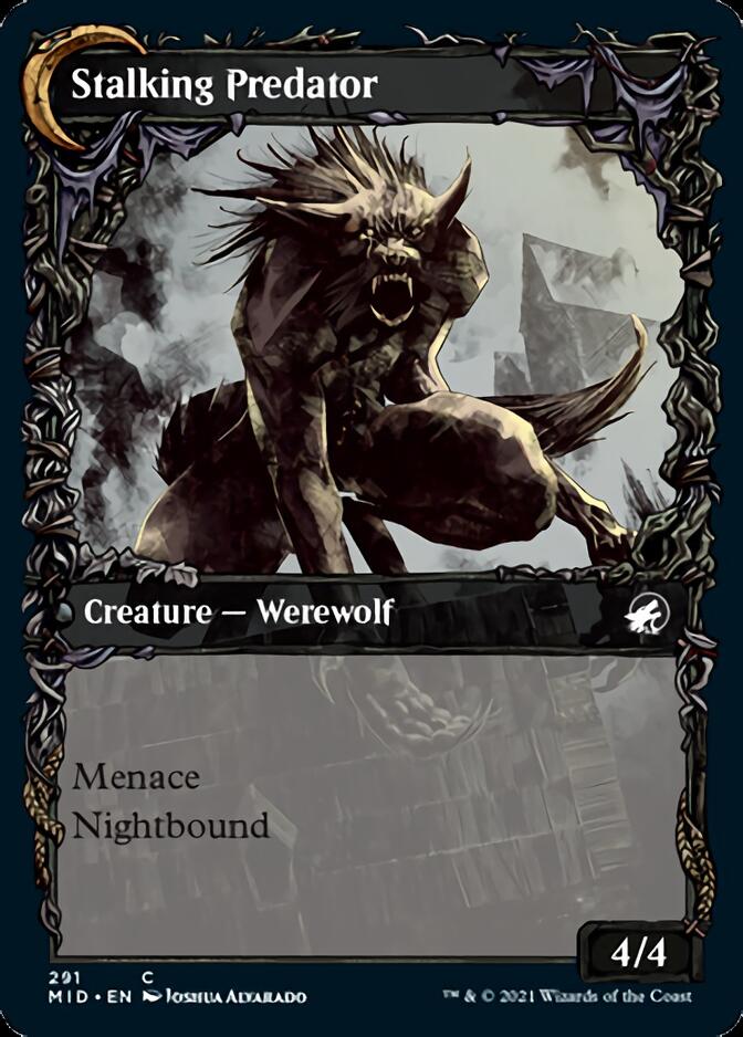 Shady Traveler // Stalking Predator (Showcase Equinox) [Innistrad: Midnight Hunt] | Empire Gaming NC