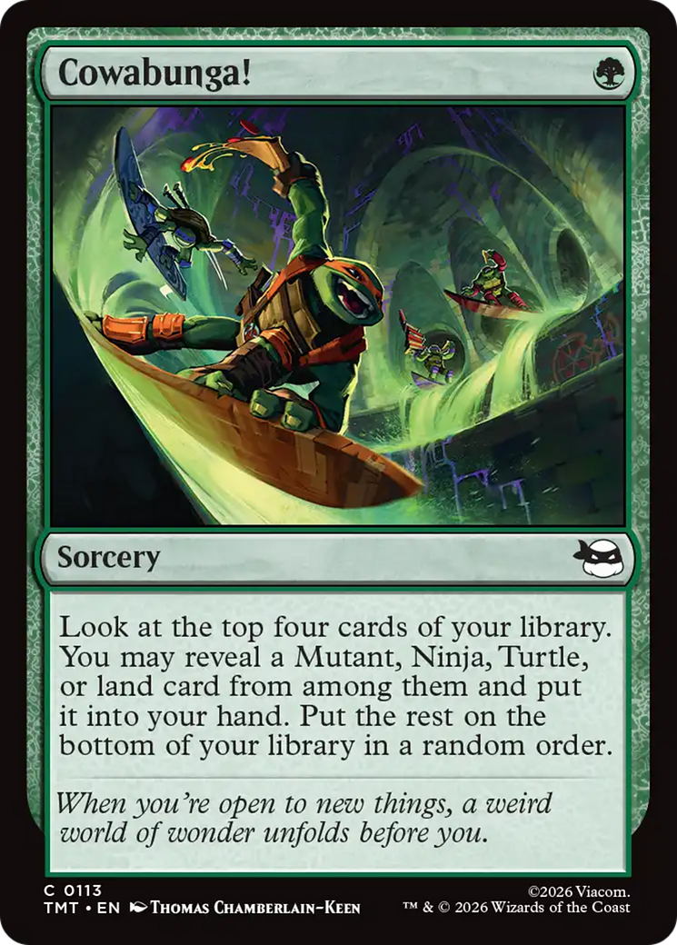 Cowabunga! [Teenage Mutant Ninja Turtles] | Empire Gaming NC