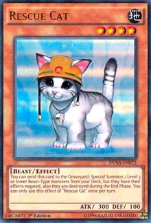 Rescue Cat [DUSA-EN072] Ultra Rare | Empire Gaming NC