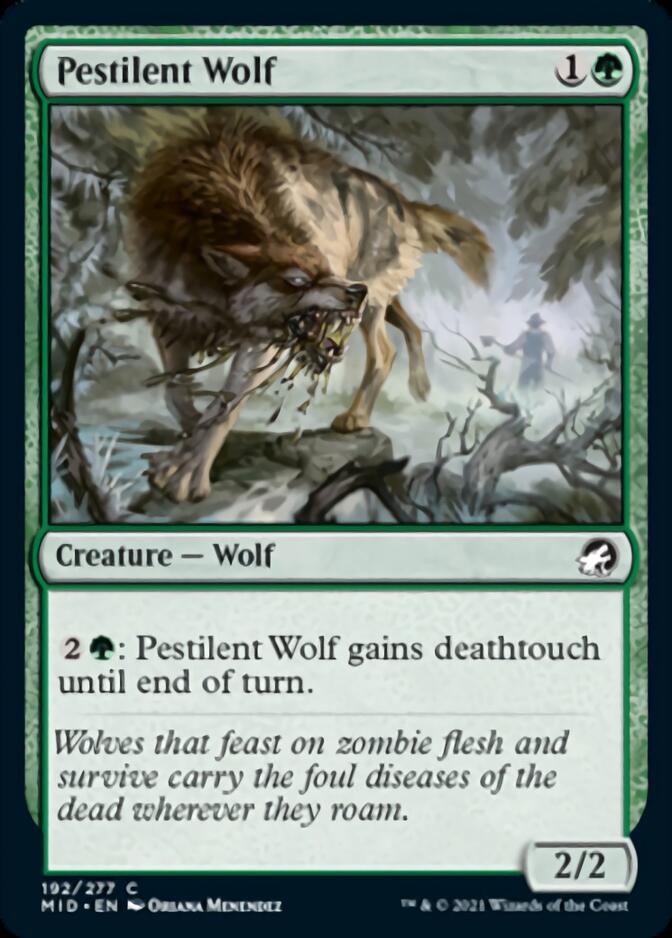 Pestilent Wolf [Innistrad: Midnight Hunt] | Empire Gaming NC