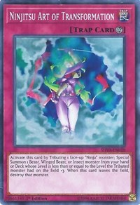 Ninjitsu Art of Transformation [SHVA-EN028] Super Rare | Empire Gaming NC