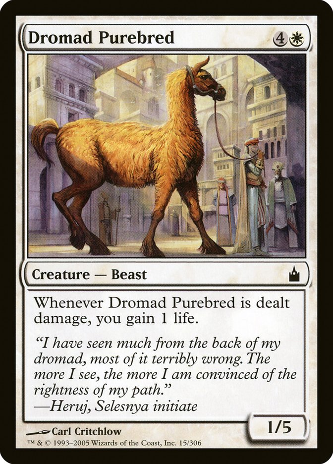 Dromad Purebred [Ravnica: City of Guilds] | Empire Gaming NC