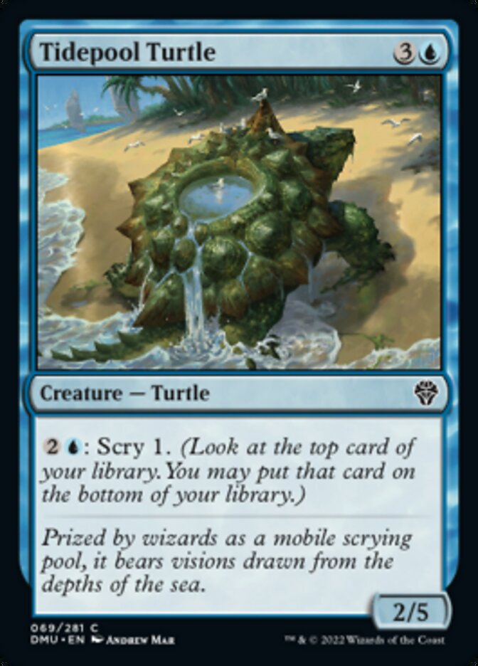 Tidepool Turtle [Dominaria United] | Empire Gaming NC