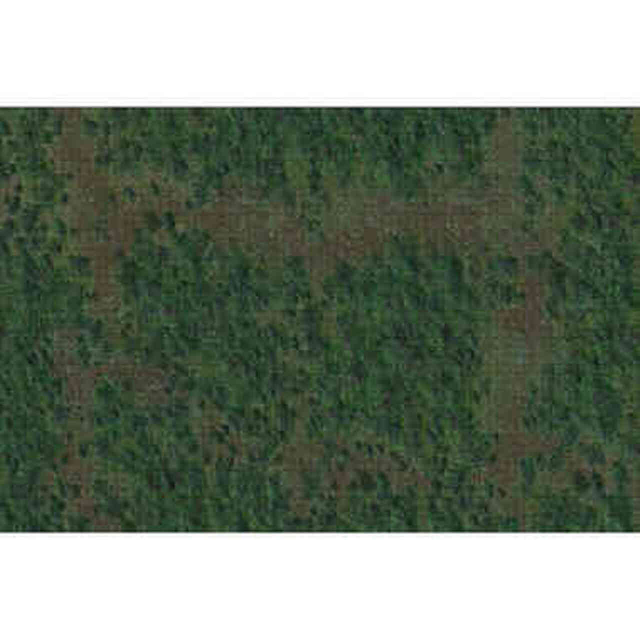 Dungeons & Dragons: Icons of the Realms Battle Mat - Forest | Empire Gaming NC