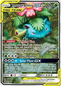 Venusaur & Snivy GX - SM229 (SM229) [SM Promos] | Empire Gaming NC