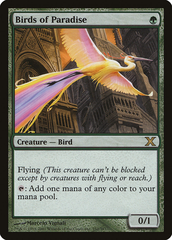 Birds of Paradise [Tenth Edition] | Empire Gaming NC