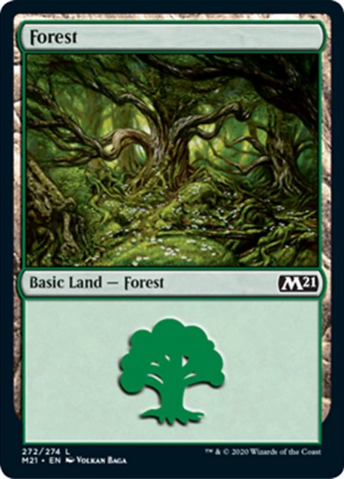 Forest [Core Set 2021] | Empire Gaming NC