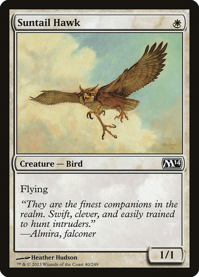 Suntail Hawk [Magic 2014] | Empire Gaming NC