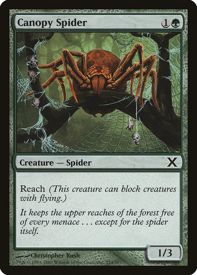 Canopy Spider [Tenth Edition] | Empire Gaming NC