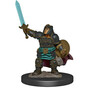 DUNGEONS & DRAGONS: ICONS OF THE REALMS PREMIUM MINIATURES - FEMALE DWARF PALADIN | Empire Gaming NC