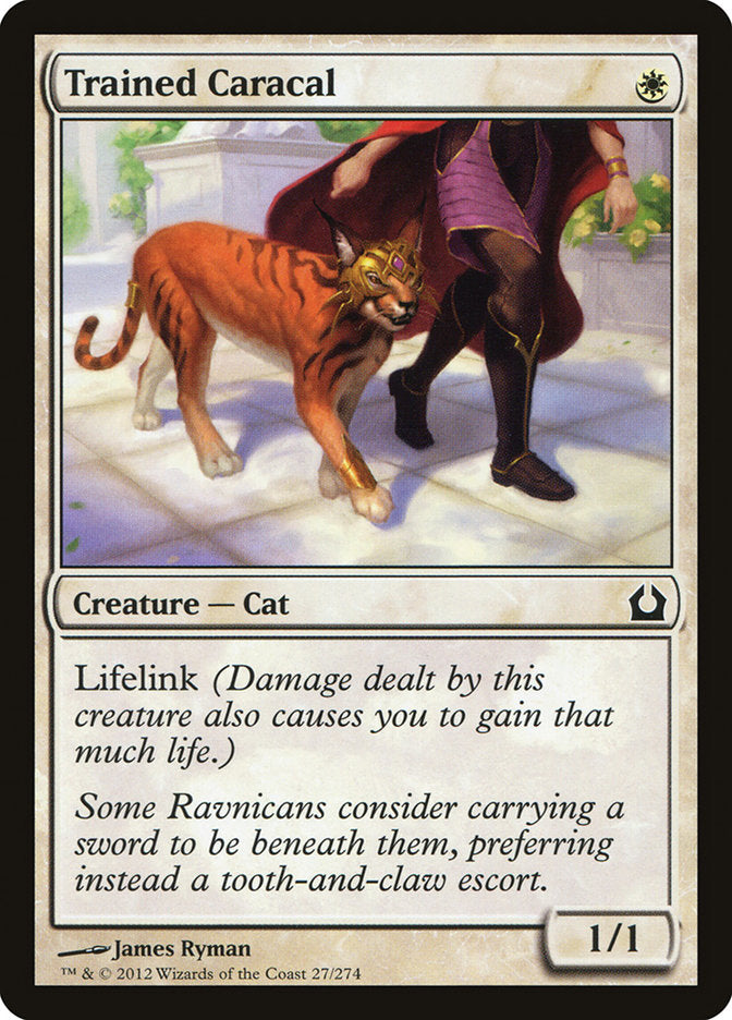 Trained Caracal [Return to Ravnica] | Empire Gaming NC