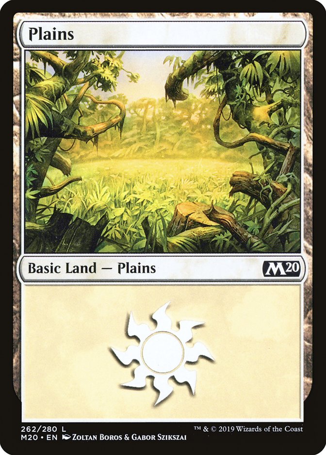 Plains (262) [Core Set 2020] | Empire Gaming NC