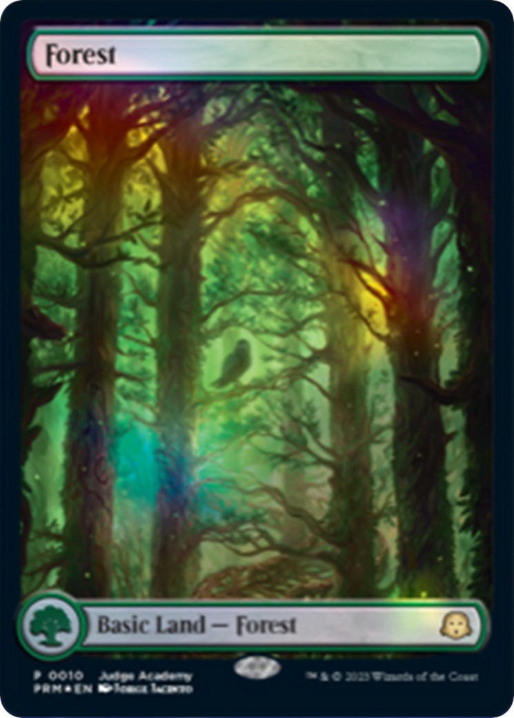 Forest [Judge Gift Cards 2023] | Empire Gaming NC