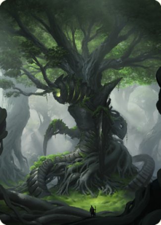 Forest Art Card [The Brothers' War Art Series] | Empire Gaming NC