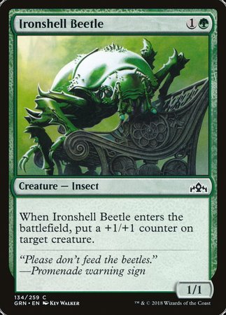 Ironshell Beetle [Guilds of Ravnica] | Empire Gaming NC