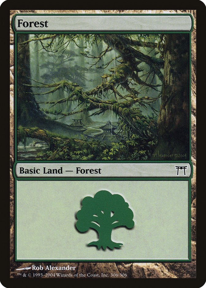 Forest [Champions of Kamigawa] | Empire Gaming NC