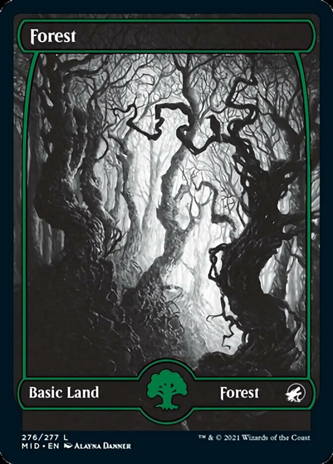 Forest (276) [Innistrad: Midnight Hunt] | Empire Gaming NC