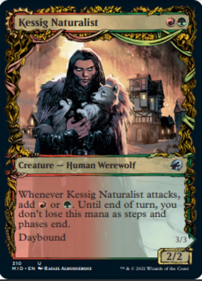 Kessig Naturalist // Lord of the Ulvenwald (Showcase Equinox) [Innistrad: Midnight Hunt] | Empire Gaming NC