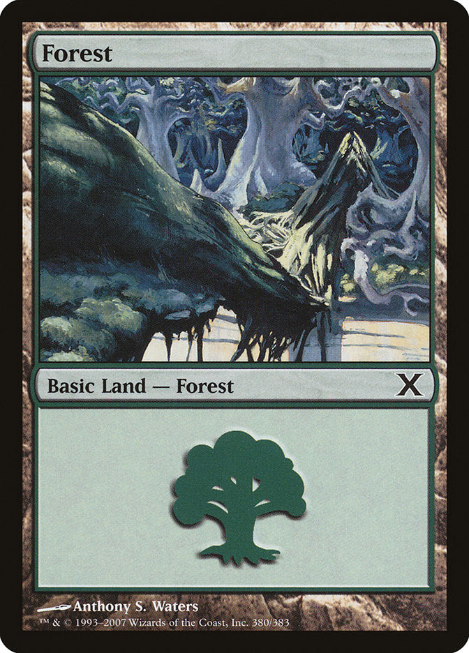 Forest (380) [Tenth Edition] | Empire Gaming NC