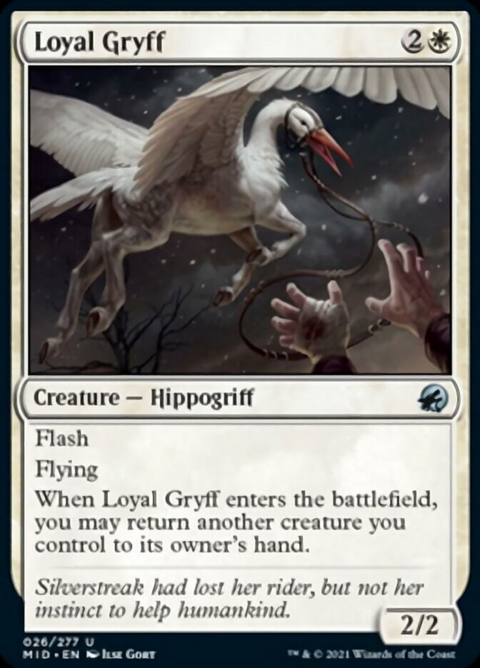 Loyal Gryff [Innistrad: Midnight Hunt] | Empire Gaming NC