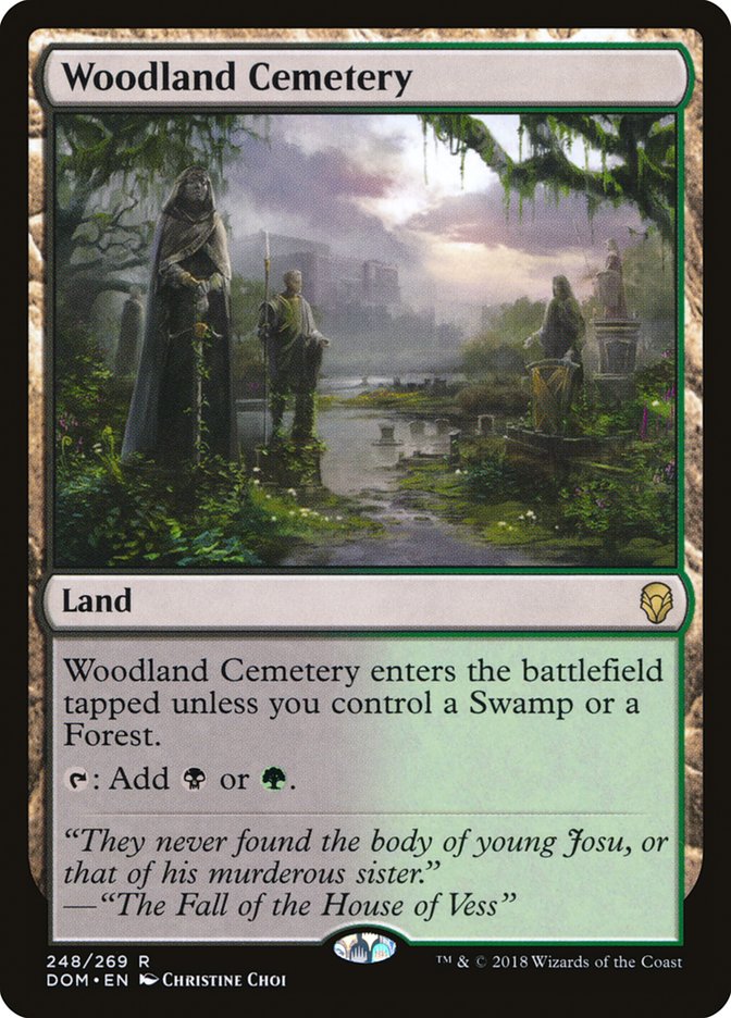 Woodland Cemetery [Dominaria] | Empire Gaming NC