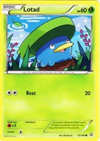 Lotad (10) [XY - Primal Clash] | Empire Gaming NC