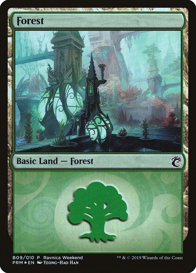 Forest (B09) [Ravnica Allegiance Guild Kit] | Empire Gaming NC