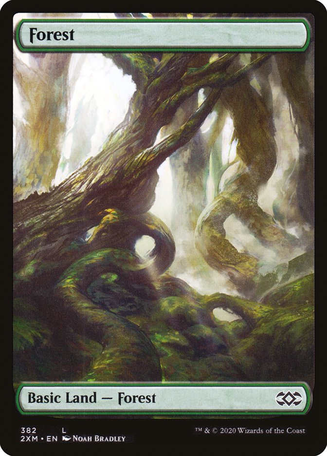 Forest (382) [Double Masters] | Empire Gaming NC