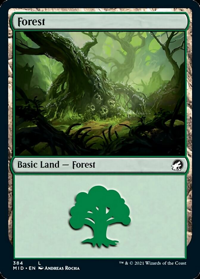 Forest (384) [Innistrad: Midnight Hunt] | Empire Gaming NC