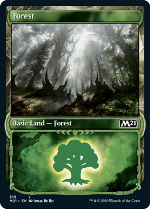 Forest (Showcase) [Core Set 2021] | Empire Gaming NC