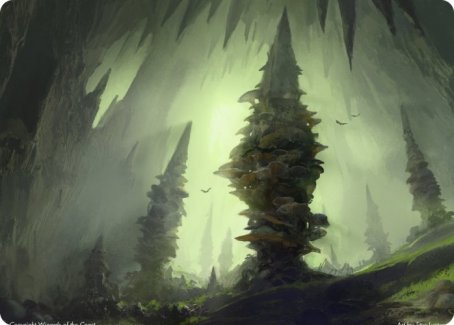 Forest (280) Art Card [Dungeons & Dragons: Adventures in the Forgotten Realms Art Series] | Empire Gaming NC