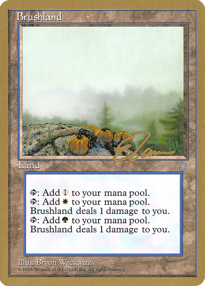 Brushland (Eric Tam) [Pro Tour Collector Set] | Empire Gaming NC