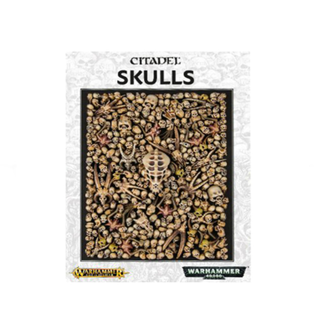 Citadel Skulls | Empire Gaming NC