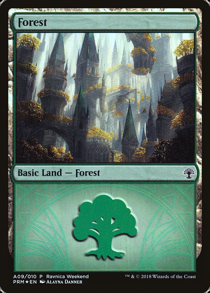 Forest - Selesnya (A09) [GRN Ravnica Weekend] | Empire Gaming NC