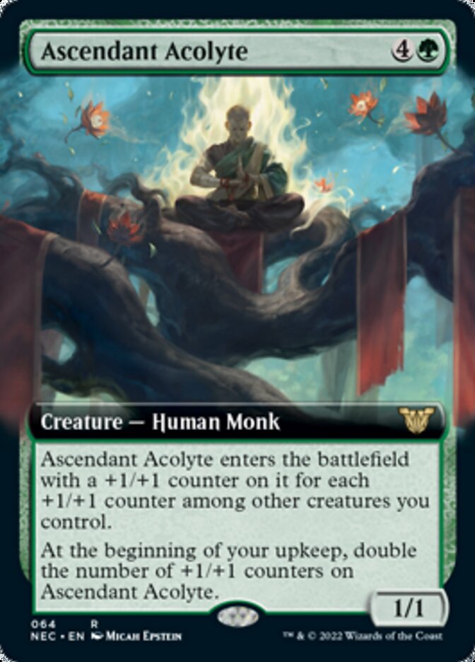 Ascendant Acolyte (Extended) [Kamigawa: Neon Dynasty Commander] | Empire Gaming NC