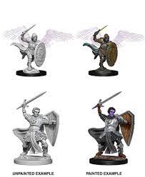Dungeons & Dragons Nolzur’s Marvelous Miniatures: Aasimar Paladin (Male) | Empire Gaming NC