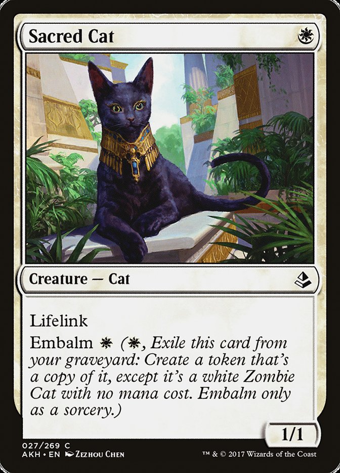 Sacred Cat [Amonkhet] | Empire Gaming NC